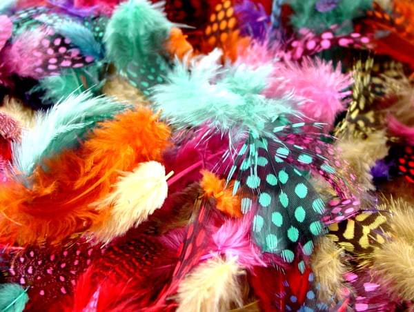 BI2591 Colour Speckled Feathers