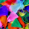 Colour Feathers 50g Assorted