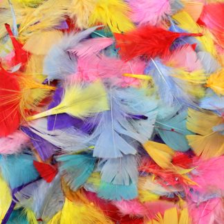 Colour Feathers 50g Assorted