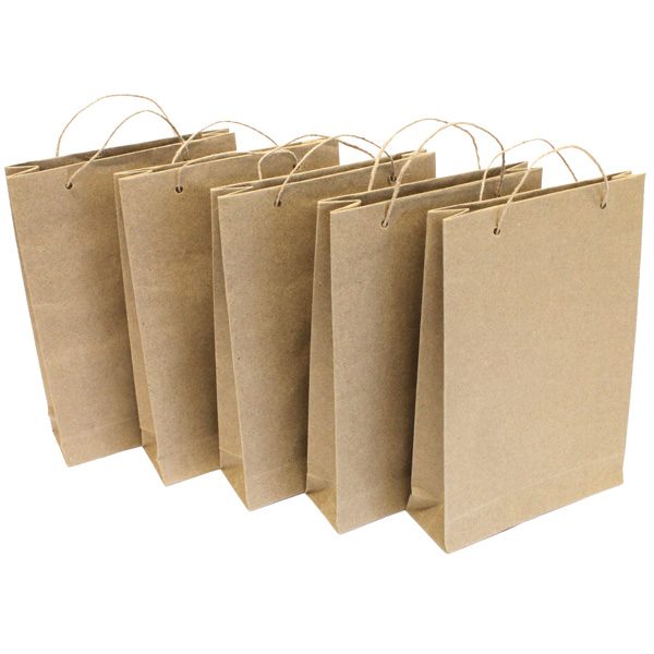Kraft Gift Bags - Large